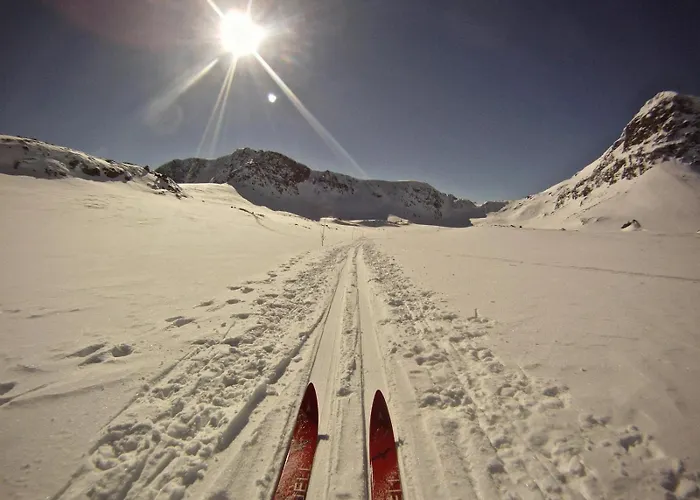 Cozy Near Attractions *