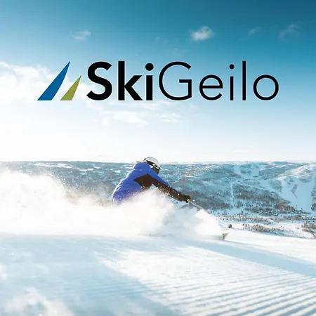 Cozy Near Attractions Apartment Geilo